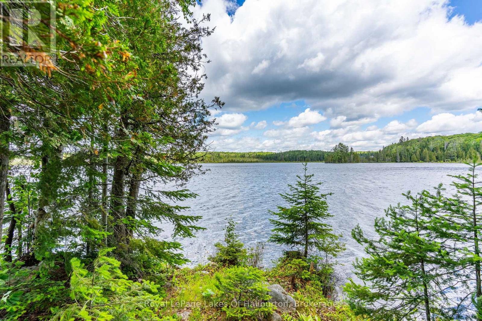 1270 Quartz Lane, Highlands East, Ontario  K0M 1R0 - Photo 41 - X13483474
