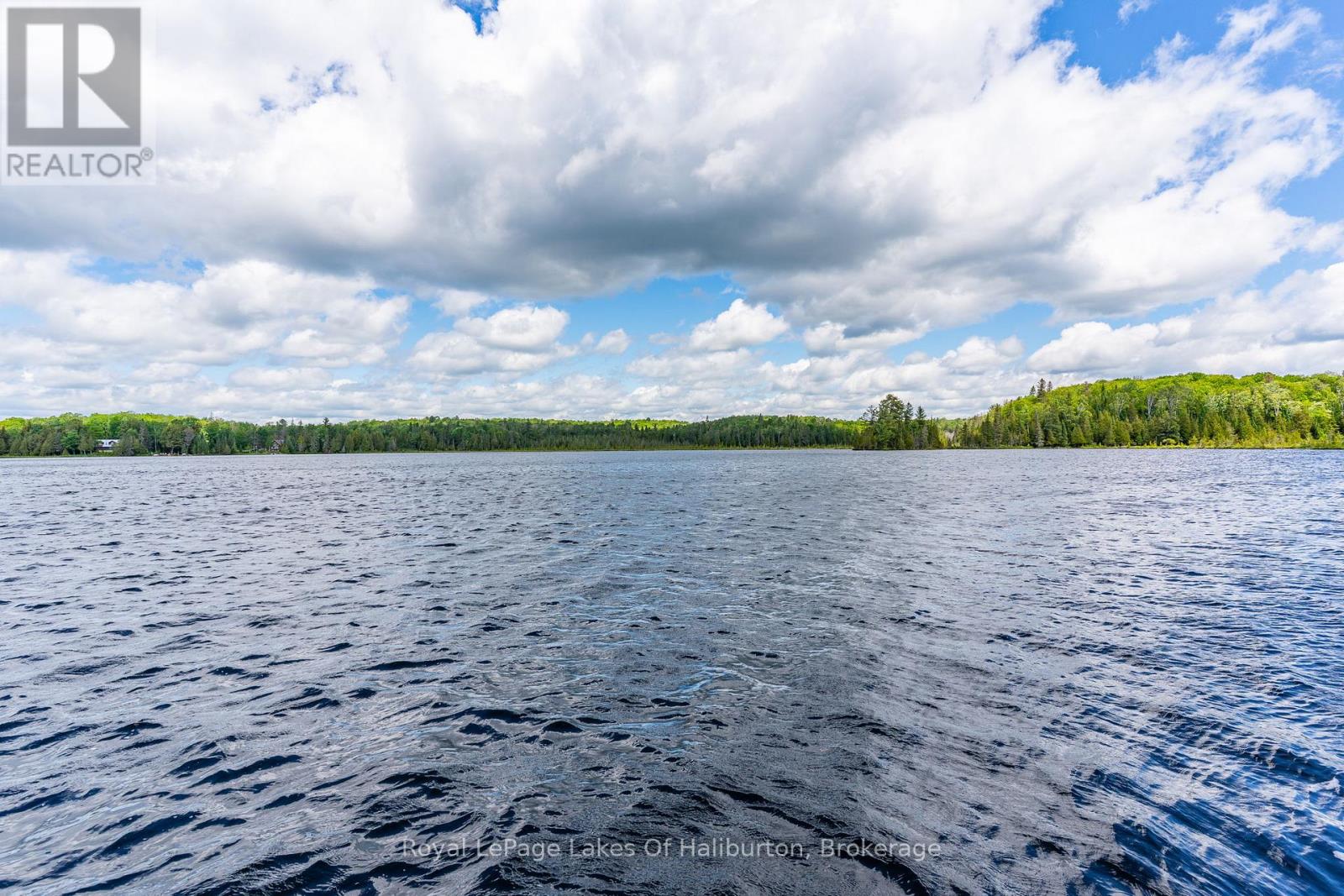1270 Quartz Lane, Highlands East, Ontario  K0M 1R0 - Photo 43 - X13483474