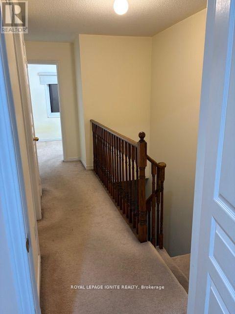 11 Curran Hall Crescent, Toronto, Ontario  M1G 0A1 - Photo 10 - E13483402