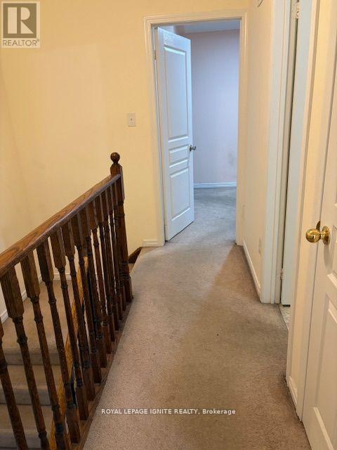 11 Curran Hall Crescent, Toronto, Ontario  M1G 0A1 - Photo 18 - E13483402