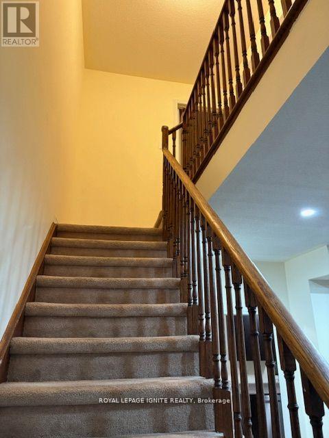 11 Curran Hall Crescent, Toronto, Ontario  M1G 0A1 - Photo 33 - E13483402
