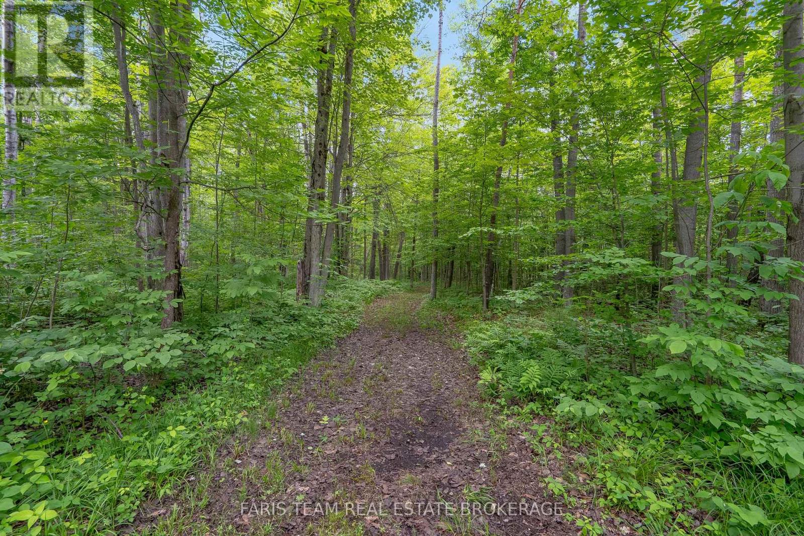 8418 Tosorontio 20th Side Road, Adjala-Tosorontio, Ontario  L0M 1M0 - Photo 45 - N13483456