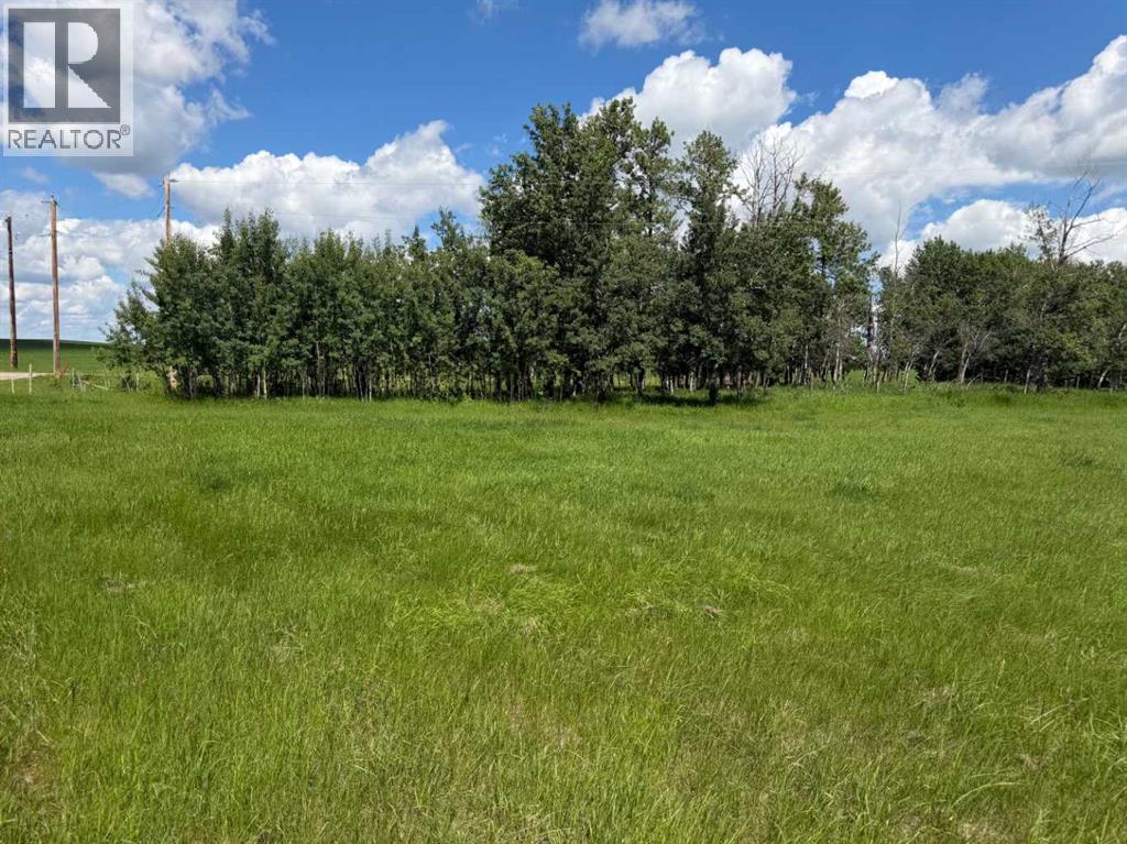 On Township Road 432, Rural Ponoka County, Alberta  T4J 1R2 - Photo 3 - A2311833