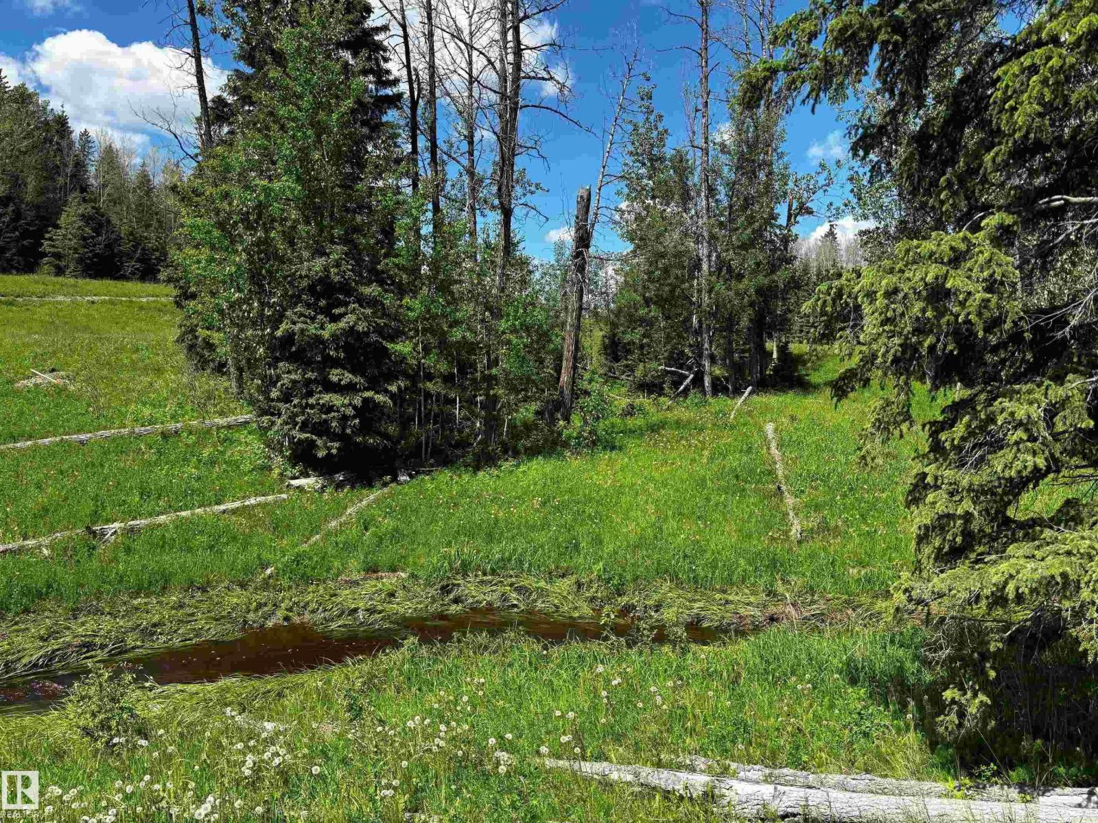 SW 3 48 4 W5 Hwy 616, Rural Brazeau County, Alberta  T0C 0P0 - Photo 7 - E4495326
