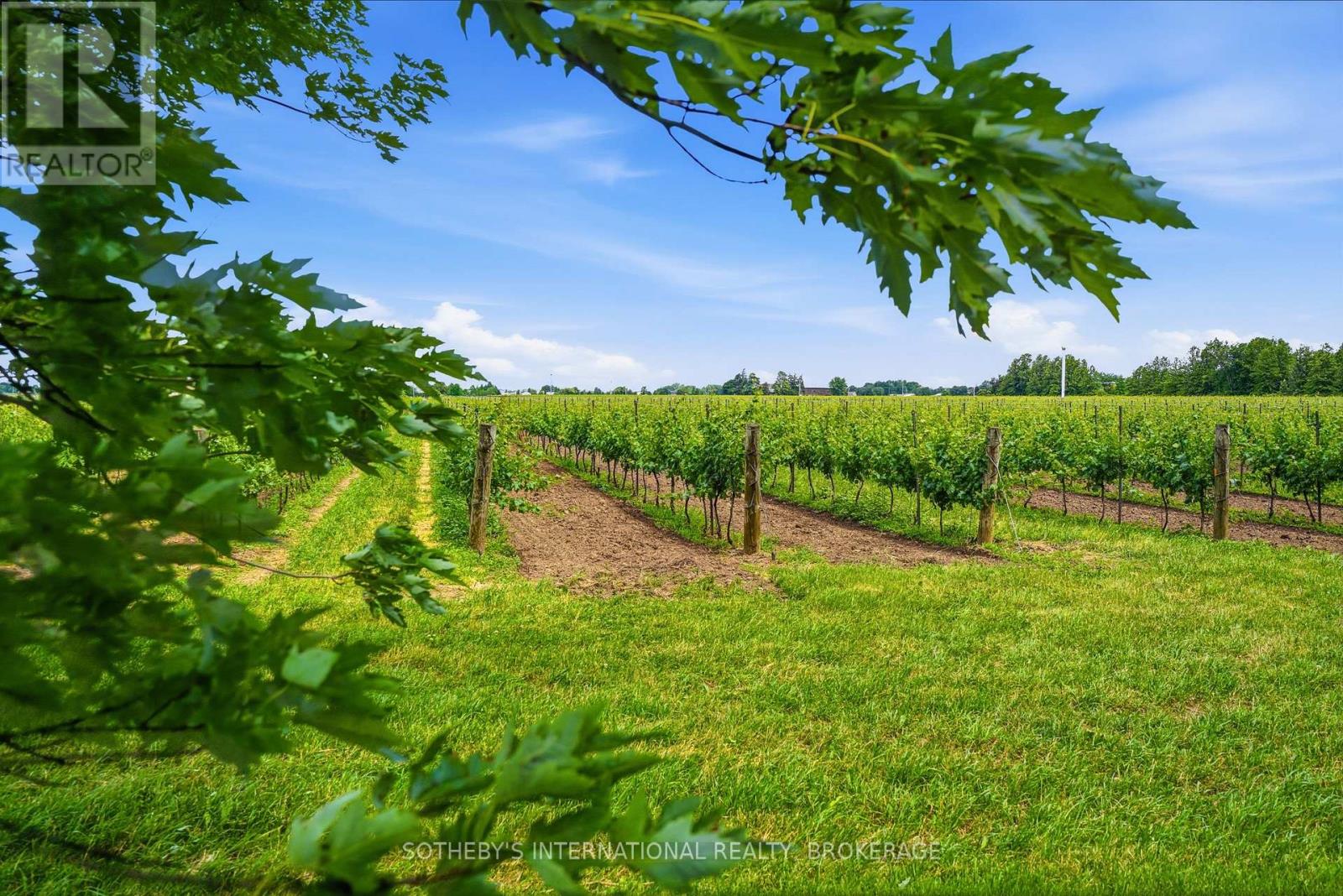 1080 Line 3 Road, Niagara-On-The-Lake, Ontario  L0S 1J0 - Photo 18 - X13483882