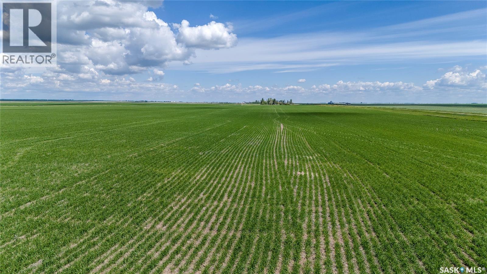629 Deeded & 354 Crown Lease Acres Near Penzance, Sarnia Rm No. 221, Saskatchewan  S0G 3X0 - Photo 10 - SK040524