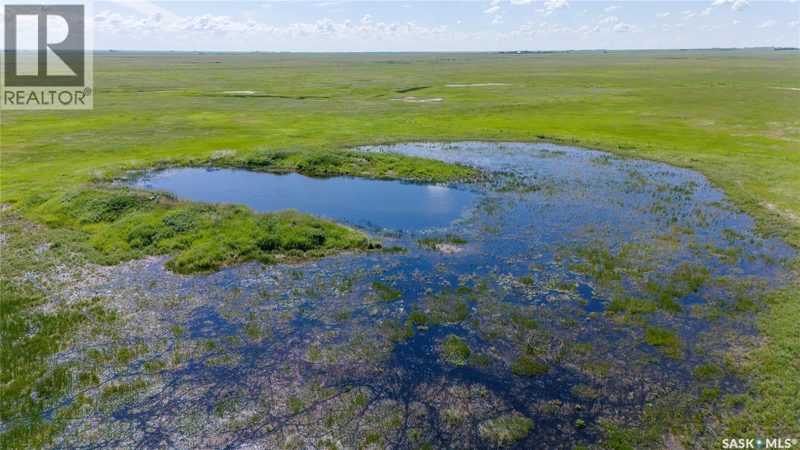 629 Deeded & 354 Crown Lease Acres Near Penzance, Sarnia Rm No. 221, Saskatchewan  S0G 3X0 - Photo 11 - SK040524