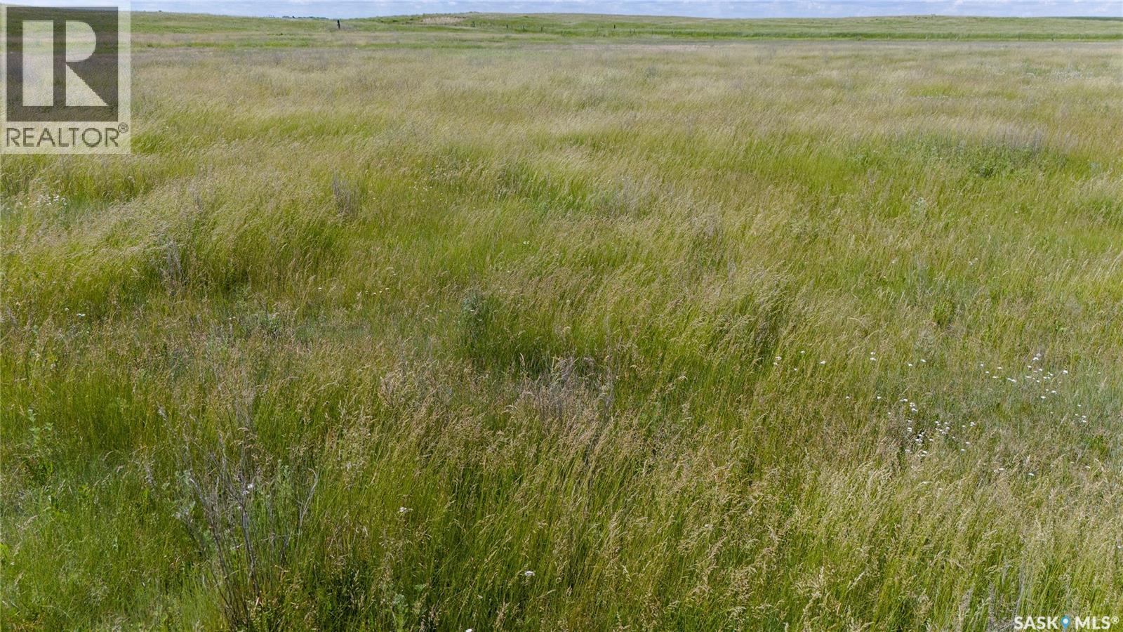 629 Deeded & 354 Crown Lease Acres Near Penzance, Sarnia Rm No. 221, Saskatchewan  S0G 3X0 - Photo 18 - SK040524