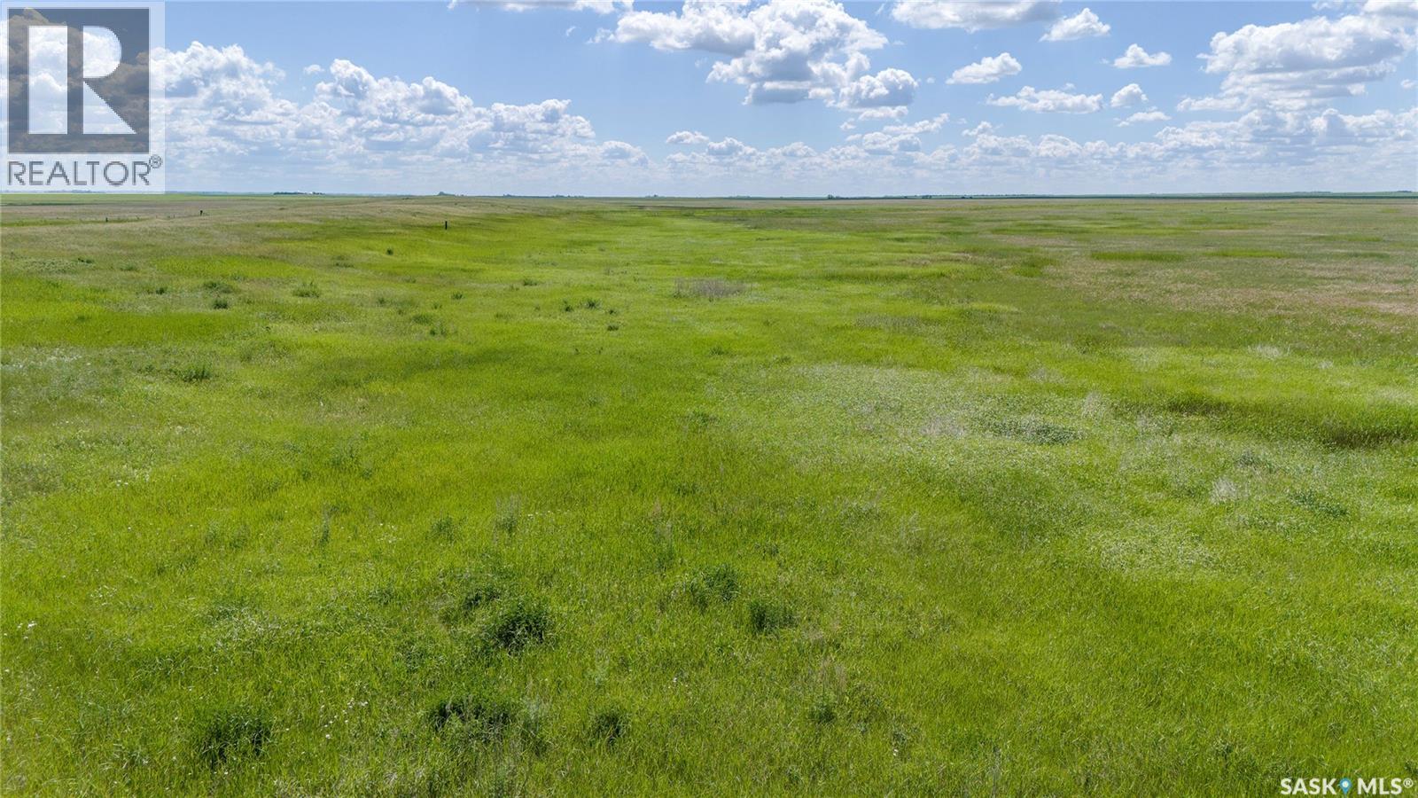 629 Deeded & 354 Crown Lease Acres Near Penzance, Sarnia Rm No. 221, Saskatchewan  S0G 3X0 - Photo 22 - SK040524