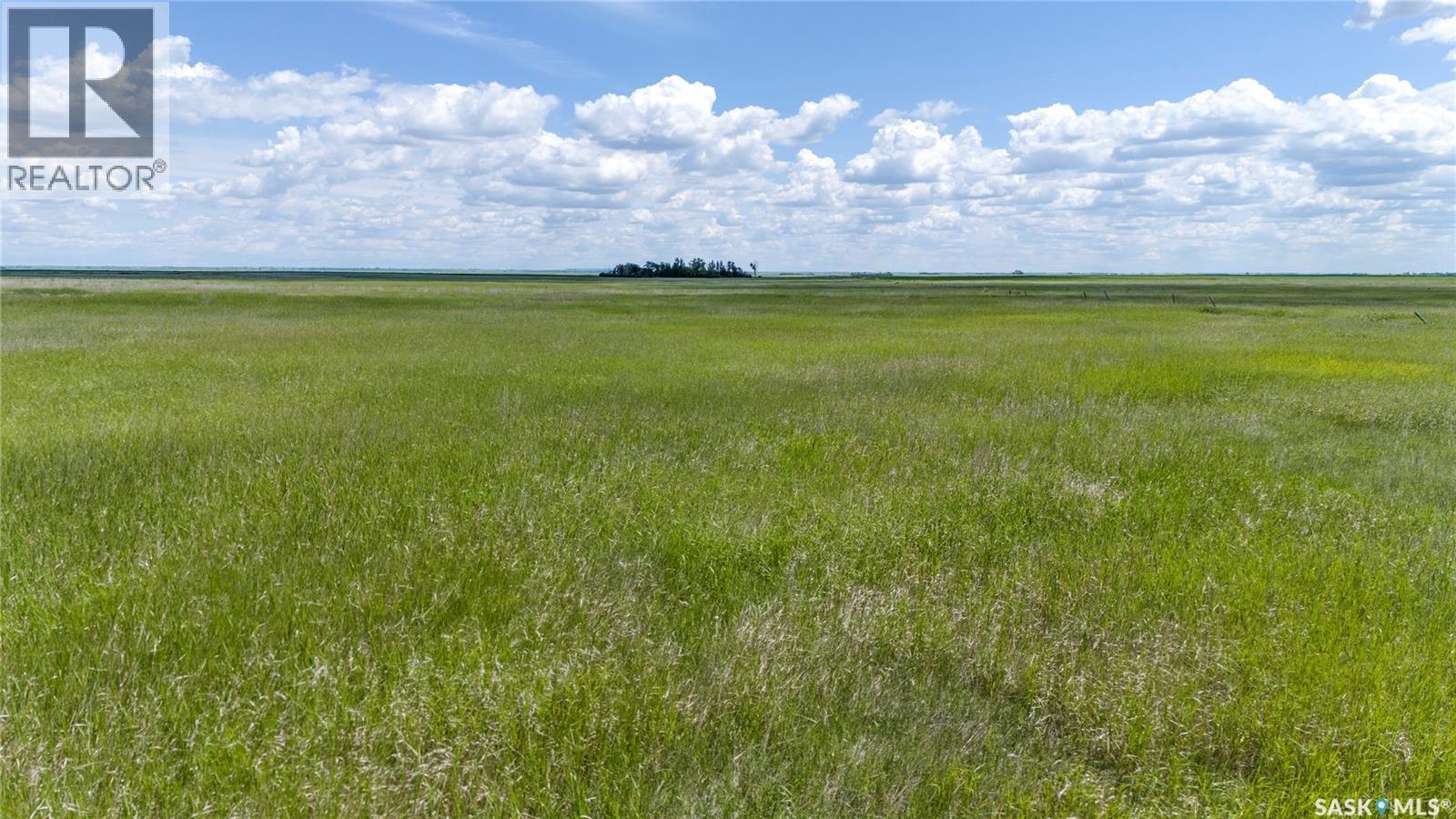629 Deeded & 354 Crown Lease Acres Near Penzance, Sarnia Rm No. 221, Saskatchewan  S0G 3X0 - Photo 27 - SK040524