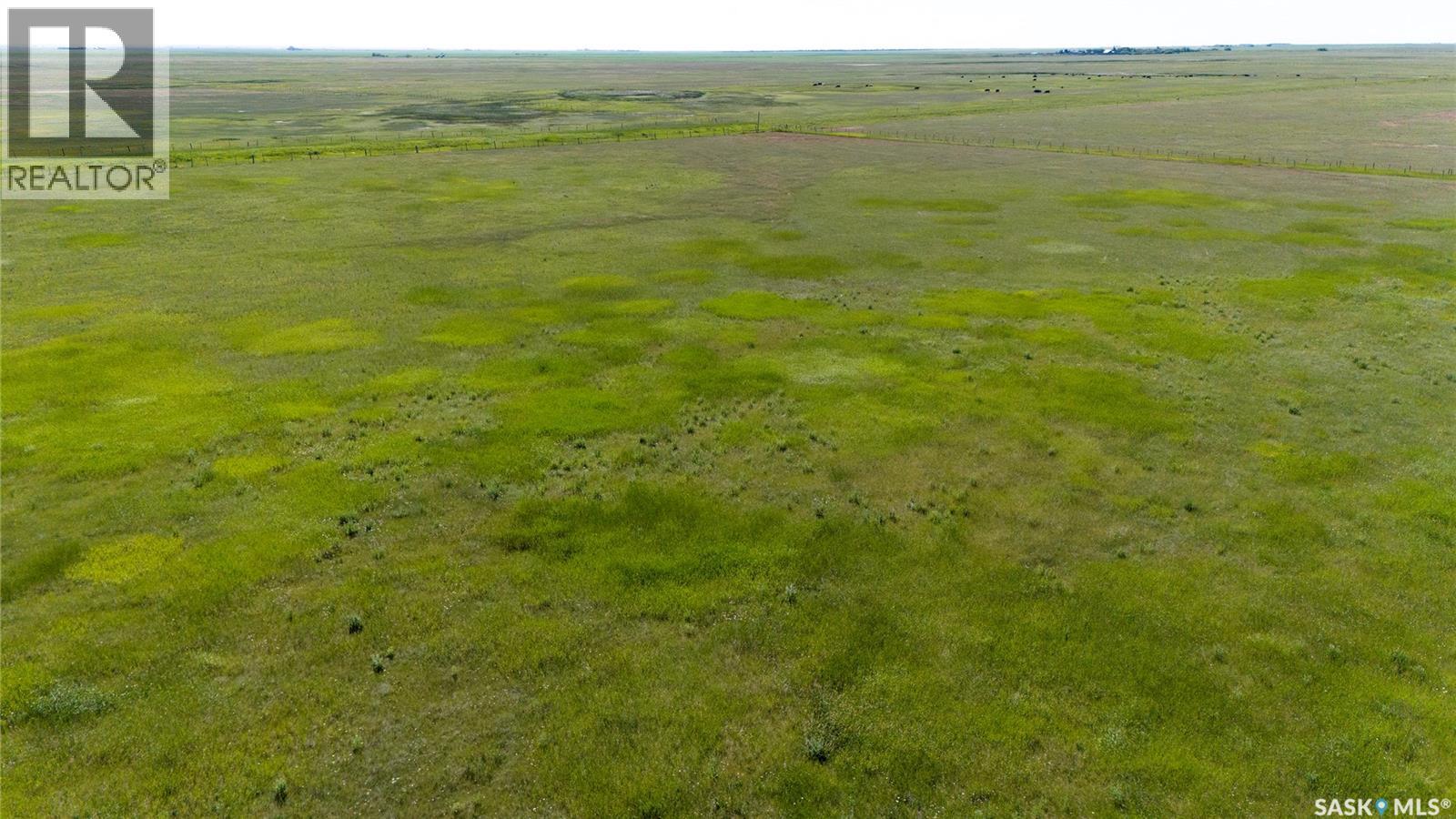 629 Deeded & 354 Crown Lease Acres Near Penzance, Sarnia Rm No. 221, Saskatchewan  S0G 3X0 - Photo 9 - SK040524