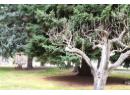 4354 Hwy 3 Highway Unit# 4, Keremeos, BC V0X 1N1