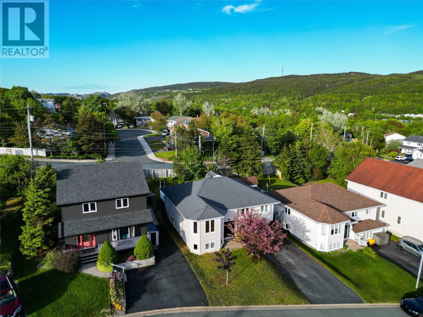 4 Eaton Place, St. John's, Newfoundland & Labrador  A1E 6A9 - Photo 2 - 1299263