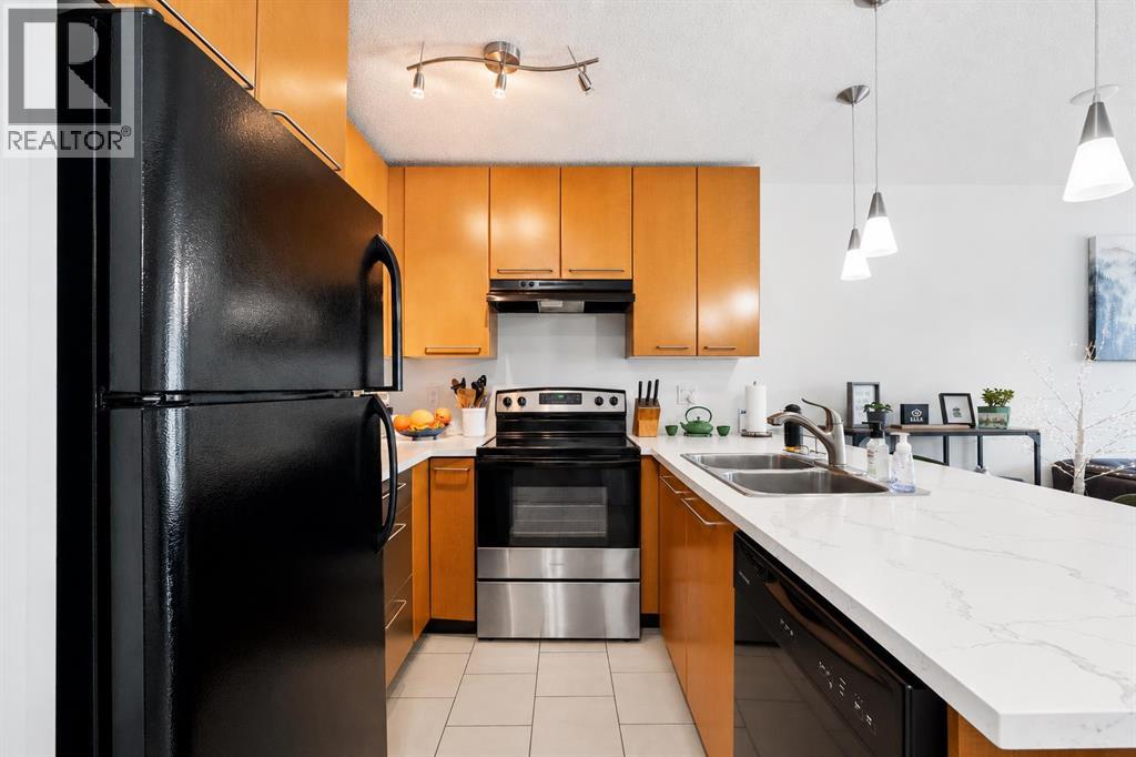 356, 35 Richard Court Sw, Calgary, Alberta  T3E 7N9 - Photo 4 - A2322386
