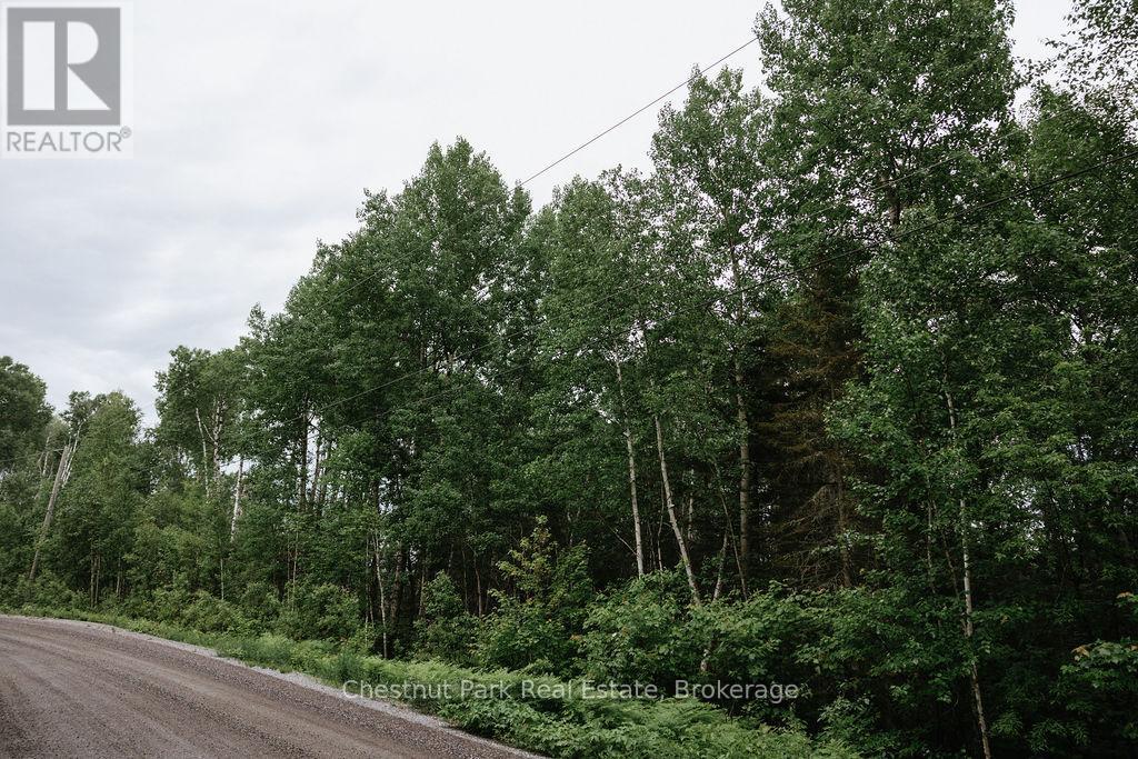 447 Fox Run, Temagami, Ontario  P0H 2H0 - Photo 13 - X13484364