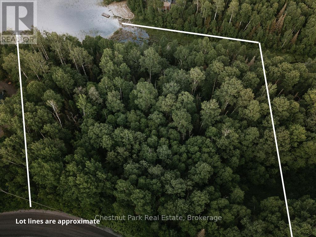 447 Fox Run, Temagami, Ontario  P0H 2H0 - Photo 17 - X13484364