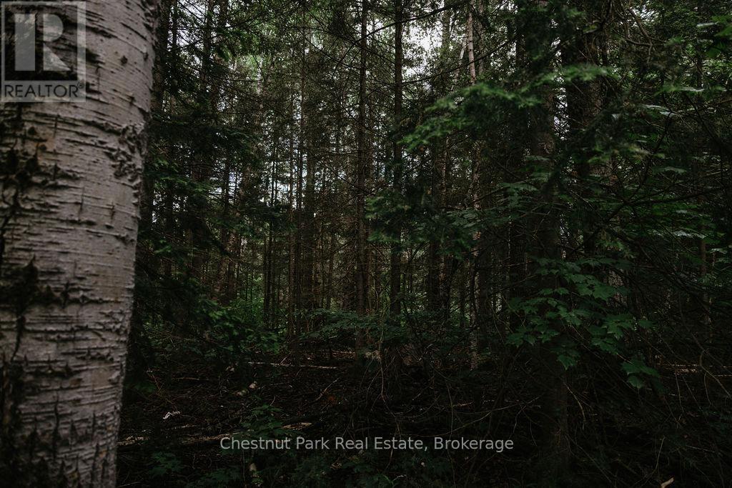 447 Fox Run, Temagami, Ontario  P0H 2H0 - Photo 21 - X13484364