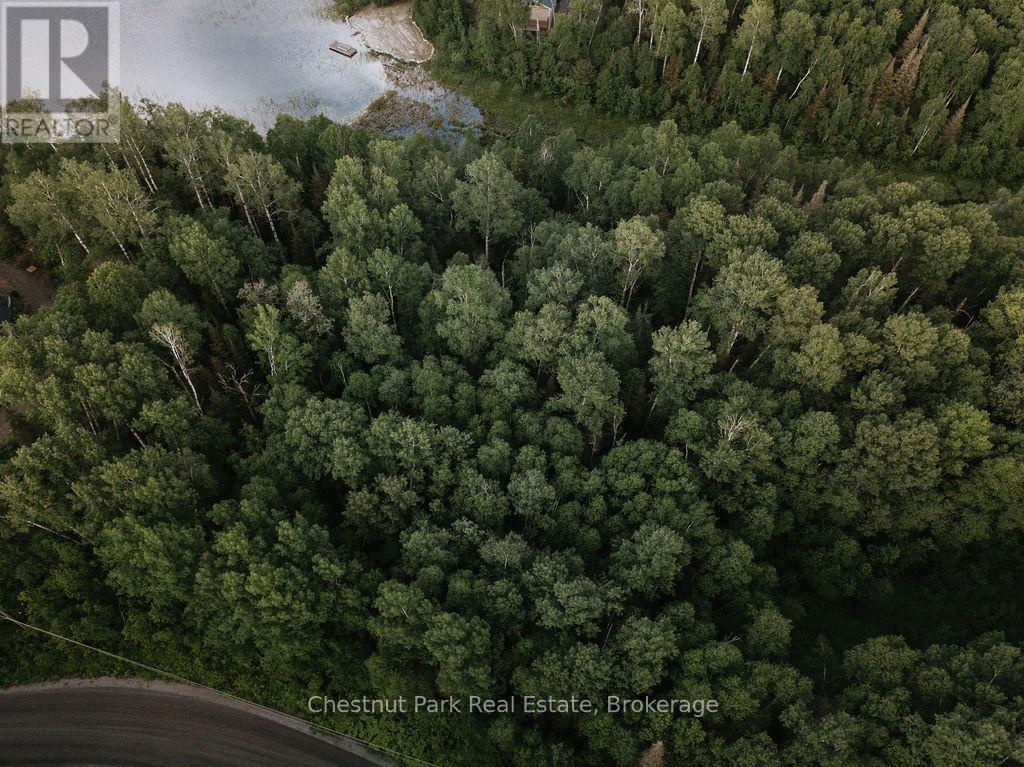 447 Fox Run, Temagami, Ontario  P0H 2H0 - Photo 22 - X13484364