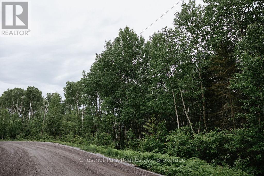 447 Fox Run, Temagami, Ontario  P0H 2H0 - Photo 27 - X13484364