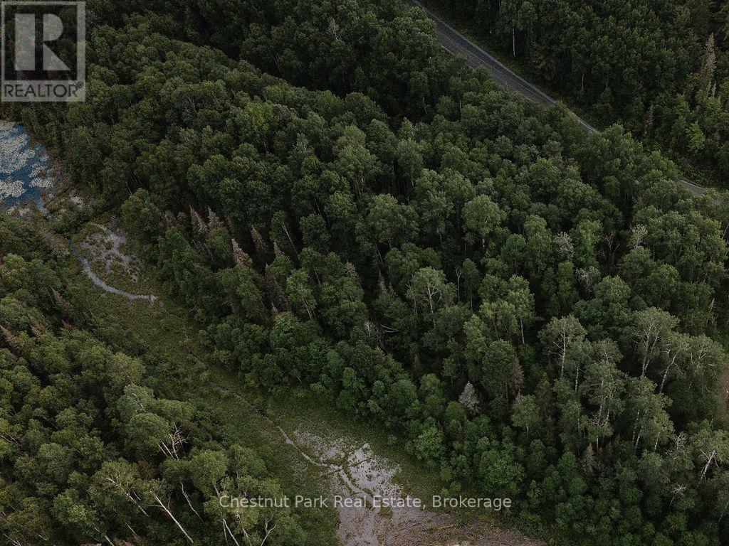 447 Fox Run, Temagami, Ontario  P0H 2H0 - Photo 36 - X13484364
