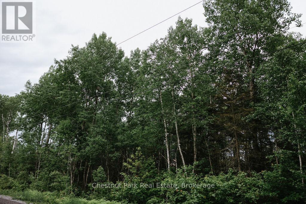 447 Fox Run, Temagami, Ontario  P0H 2H0 - Photo 38 - X13484364