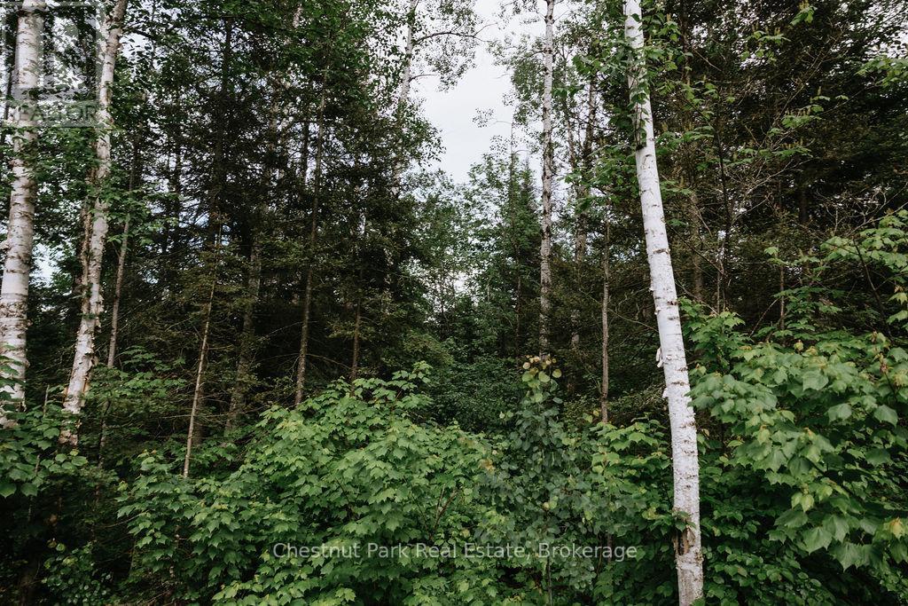 447 Fox Run, Temagami, Ontario  P0H 2H0 - Photo 44 - X13484364