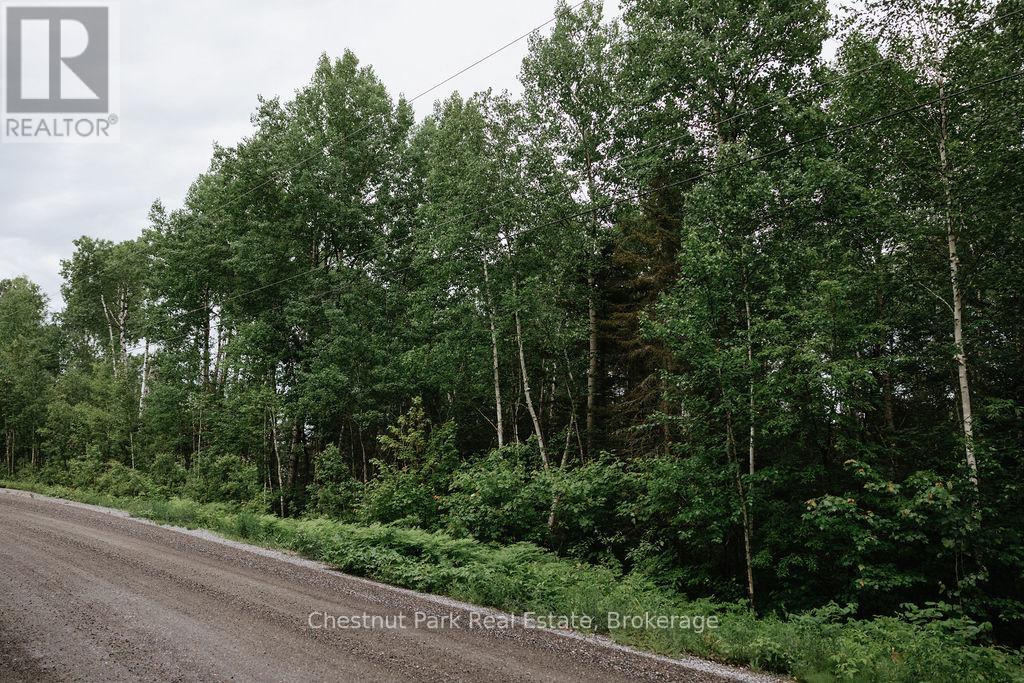 447 Fox Run, Temagami, Ontario  P0H 2H0 - Photo 5 - X13484364