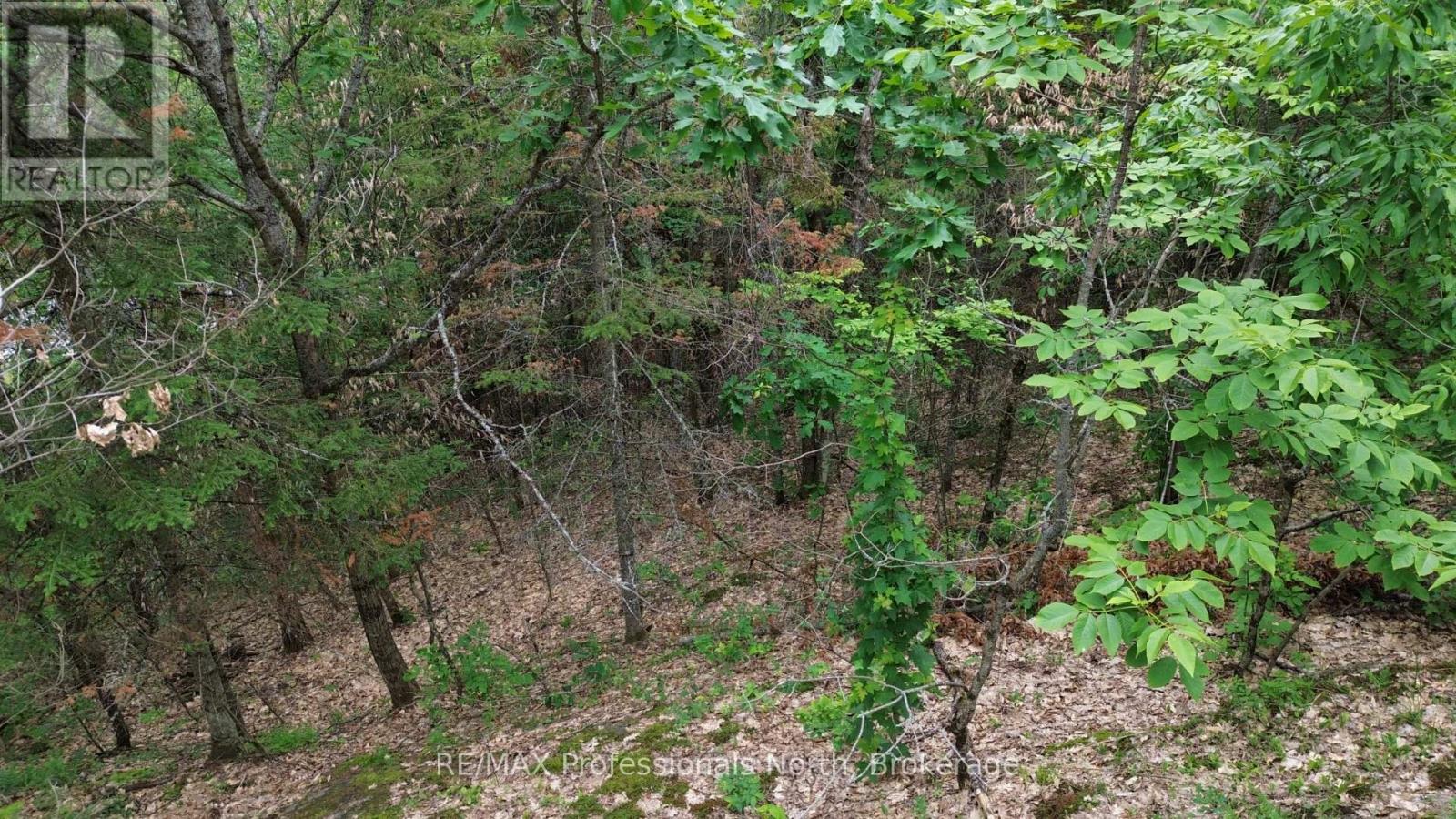 0 Trapper's Trail Road, Dysart Et Al, Ontario  K0M 1S0 - Photo 10 - X12953098