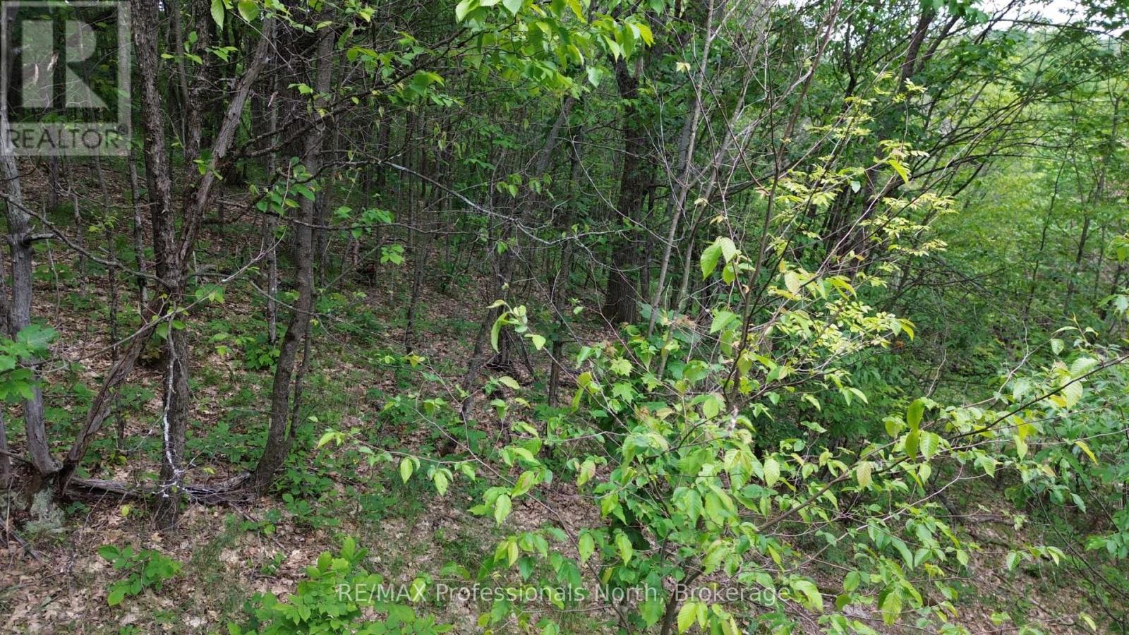 0 Trapper's Trail Road, Dysart Et Al, Ontario  K0M 1S0 - Photo 13 - X12953098