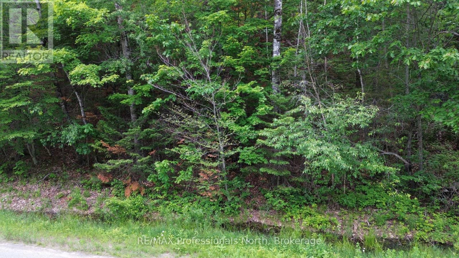 0 Trapper's Trail Road, Dysart Et Al, Ontario  K0M 1S0 - Photo 16 - X12953098