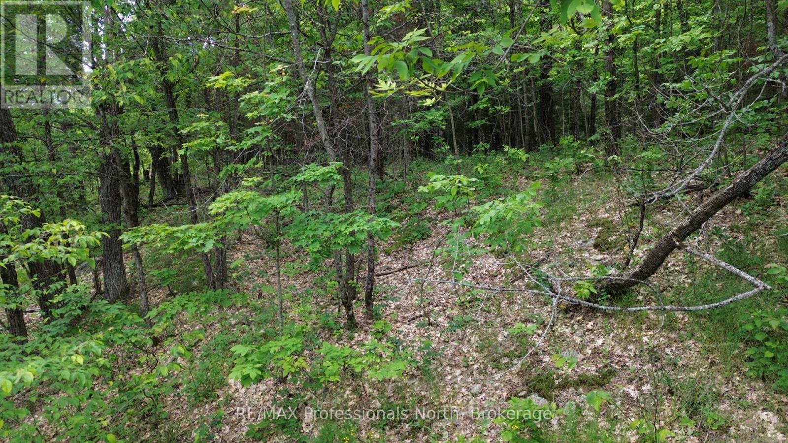 0 Trapper's Trail Road, Dysart Et Al, Ontario  K0M 1S0 - Photo 11 - X12953098