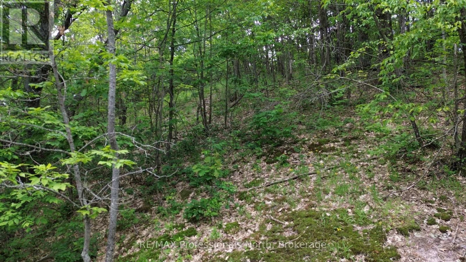 0 Trapper's Trail Road, Dysart Et Al, Ontario  K0M 1S0 - Photo 9 - X12953098