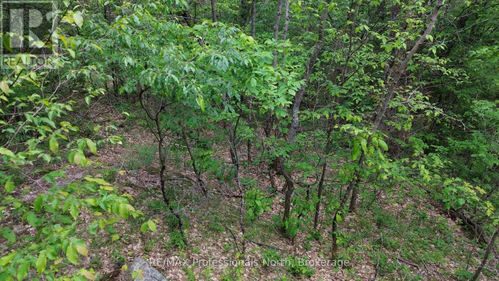 0 Trapper's Trail Road, Dysart Et Al, Ontario  K0M 1S0 - Photo 14 - X12953098