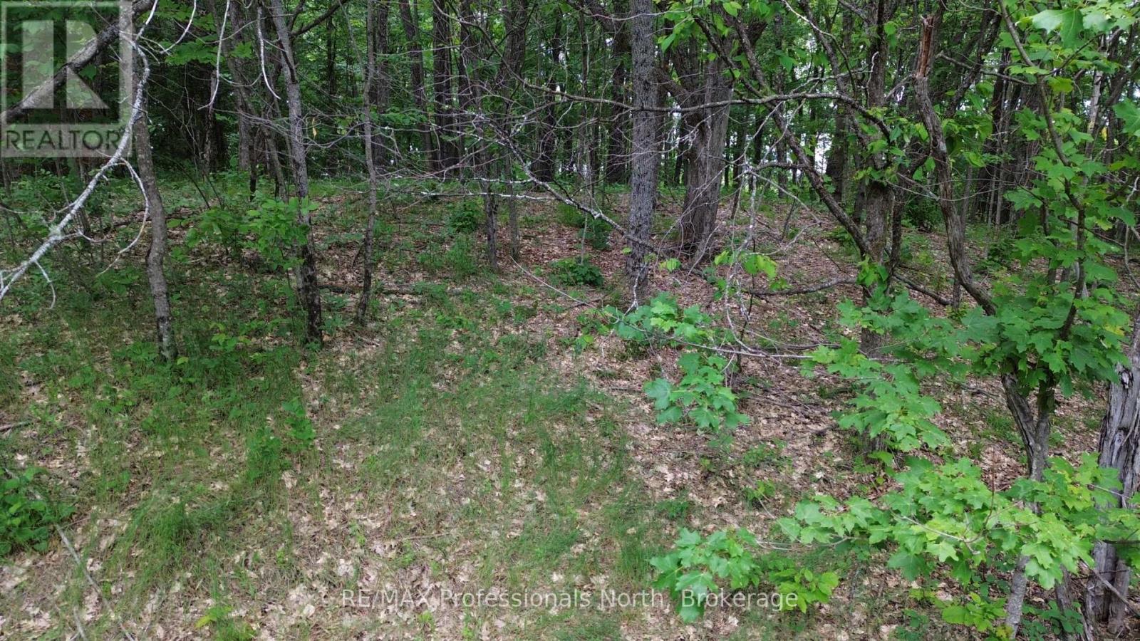 0 Trapper's Trail Road, Dysart Et Al, Ontario  K0M 1S0 - Photo 12 - X12953098