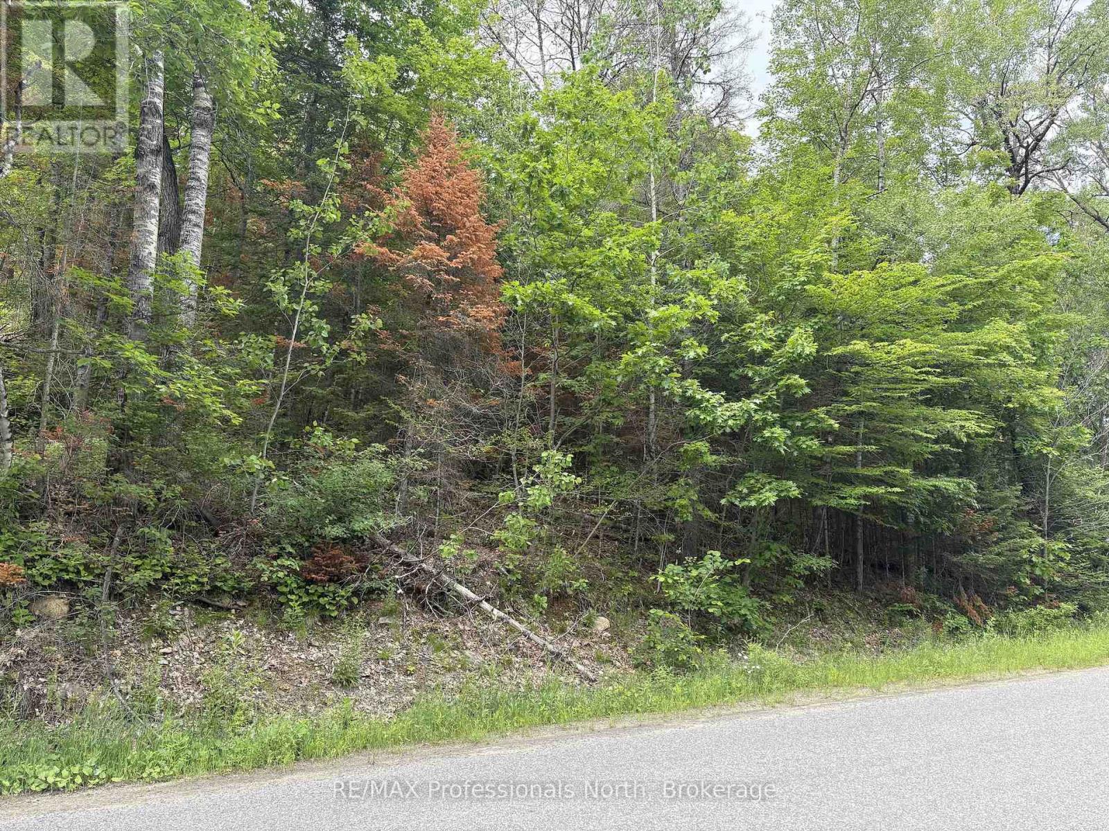 0 Trapper's Trail Road, Dysart Et Al, Ontario  K0M 1S0 - Photo 19 - X12953098