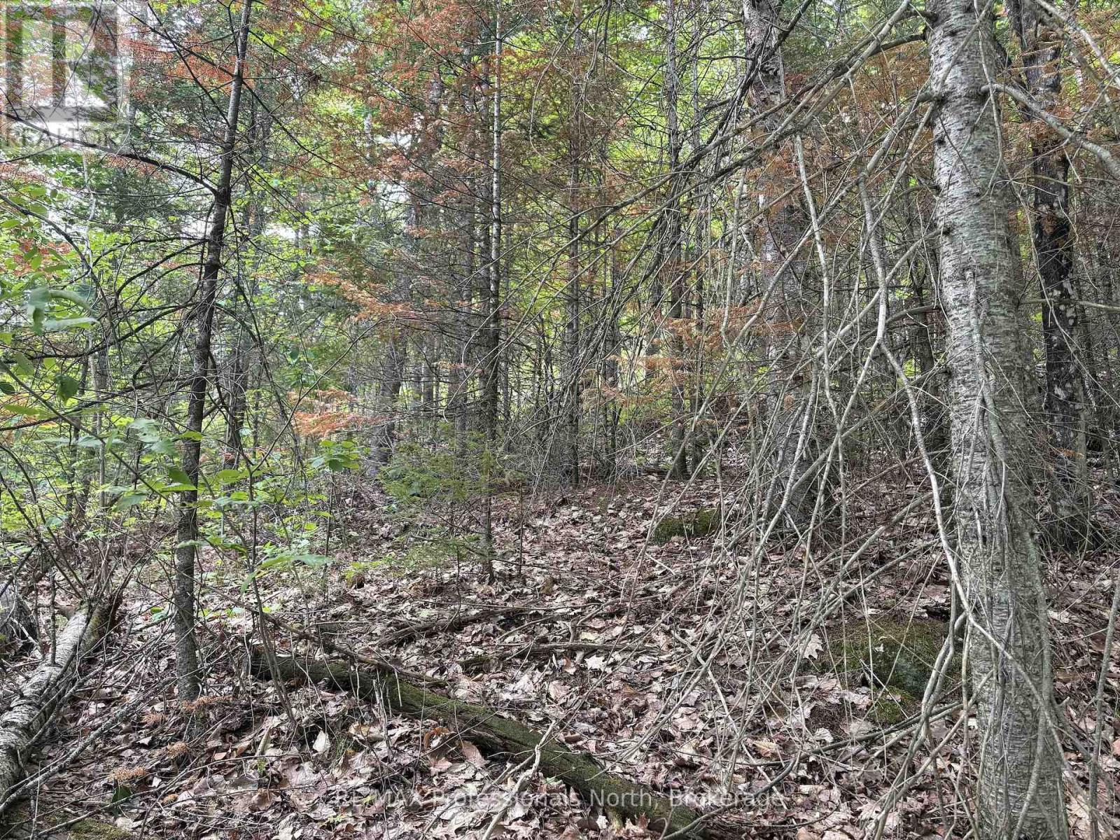 0 Trapper's Trail Road, Dysart Et Al, Ontario  K0M 1S0 - Photo 23 - X12953098