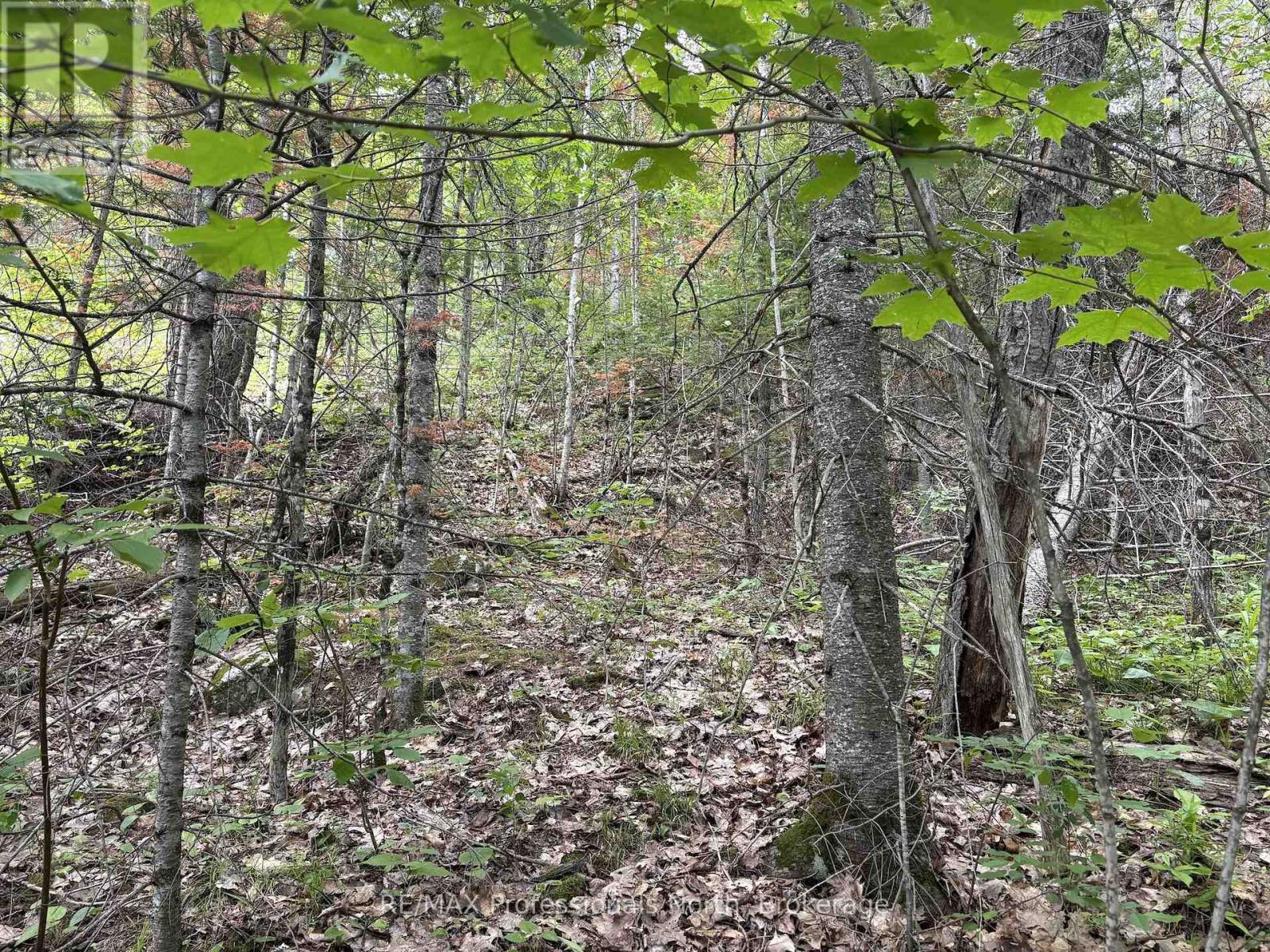 0 Trapper's Trail Road, Dysart Et Al, Ontario  K0M 1S0 - Photo 26 - X12953098