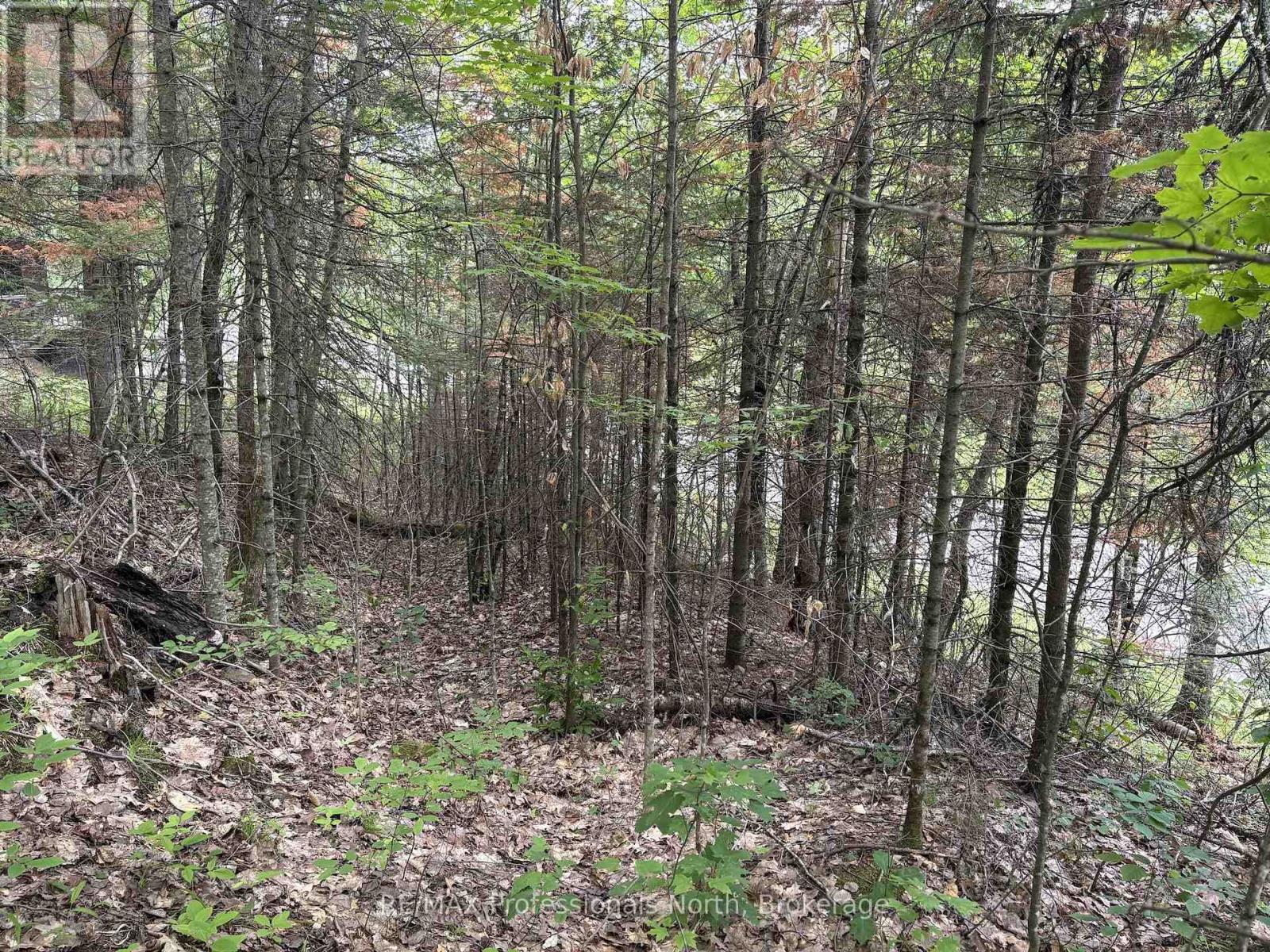 0 Trapper's Trail Road, Dysart Et Al, Ontario  K0M 1S0 - Photo 24 - X12953098