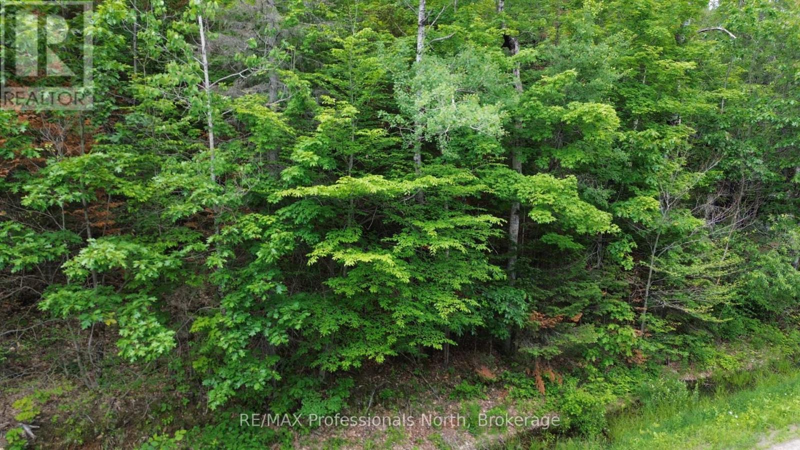 0 Trapper's Trail Road, Dysart Et Al, Ontario  K0M 1S0 - Photo 2 - X12953098