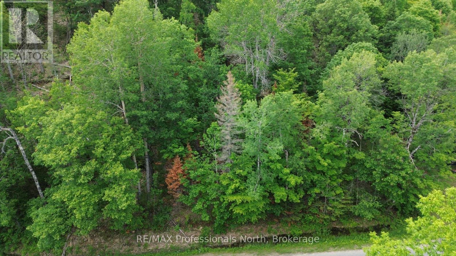0 Trapper's Trail Road, Dysart Et Al, Ontario  K0M 1S0 - Photo 4 - X12953098