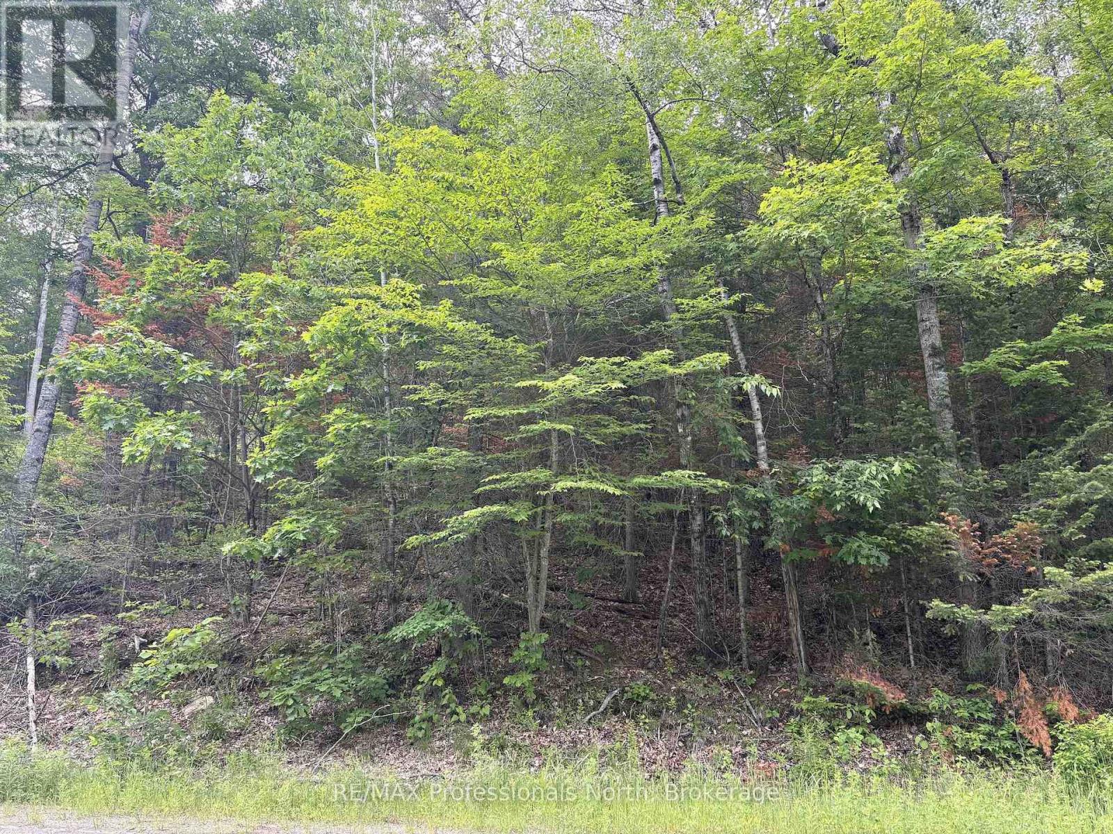 0 Trapper's Trail Road, Dysart Et Al, Ontario  K0M 1S0 - Photo 20 - X12953098