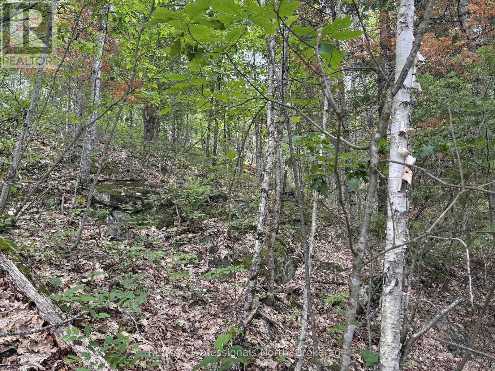 0 Trapper's Trail Road, Dysart Et Al, Ontario  K0M 1S0 - Photo 29 - X12953098