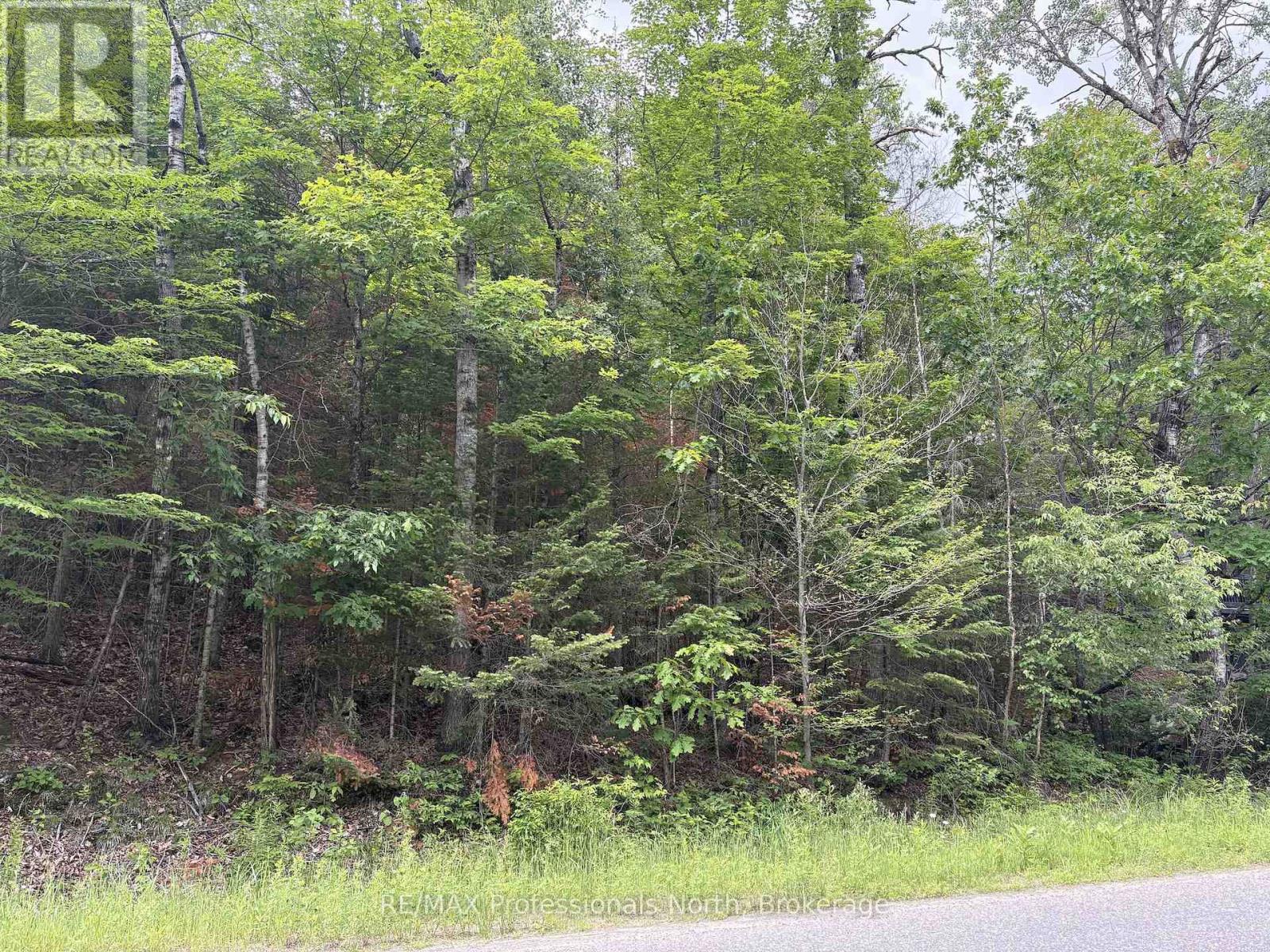 0 Trapper's Trail Road, Dysart Et Al, Ontario  K0M 1S0 - Photo 21 - X12953098