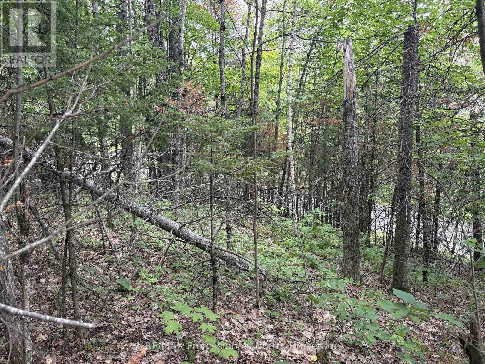 0 Trapper's Trail Road, Dysart Et Al, Ontario  K0M 1S0 - Photo 30 - X12953098