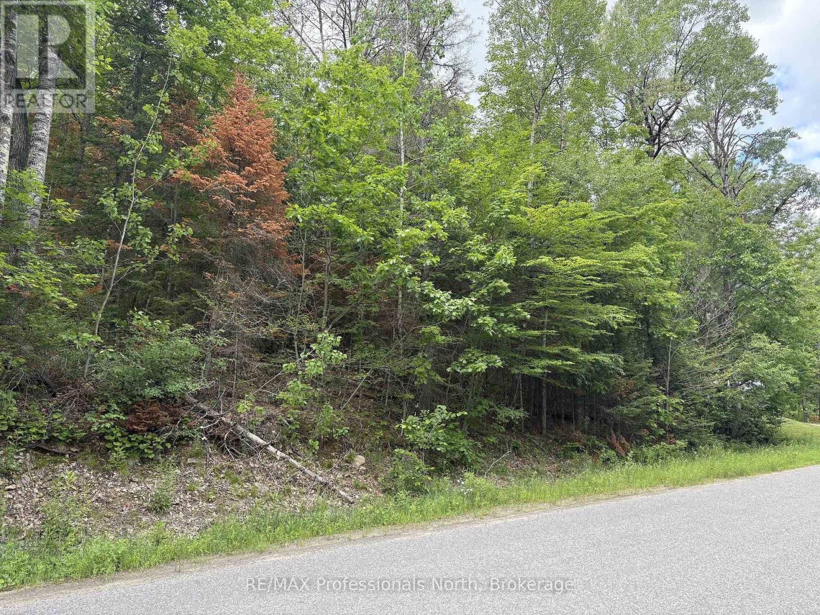 0 Trapper's Trail Road, Dysart Et Al, Ontario  K0M 1S0 - Photo 18 - X12953098