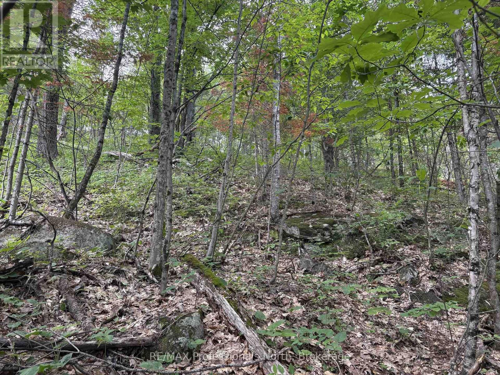 0 Trapper's Trail Road, Dysart Et Al, Ontario  K0M 1S0 - Photo 28 - X12953098