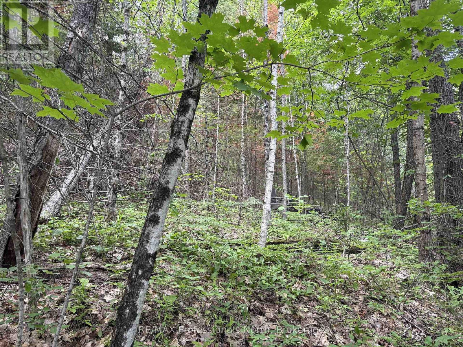0 Trapper's Trail Road, Dysart Et Al, Ontario  K0M 1S0 - Photo 25 - X12953098
