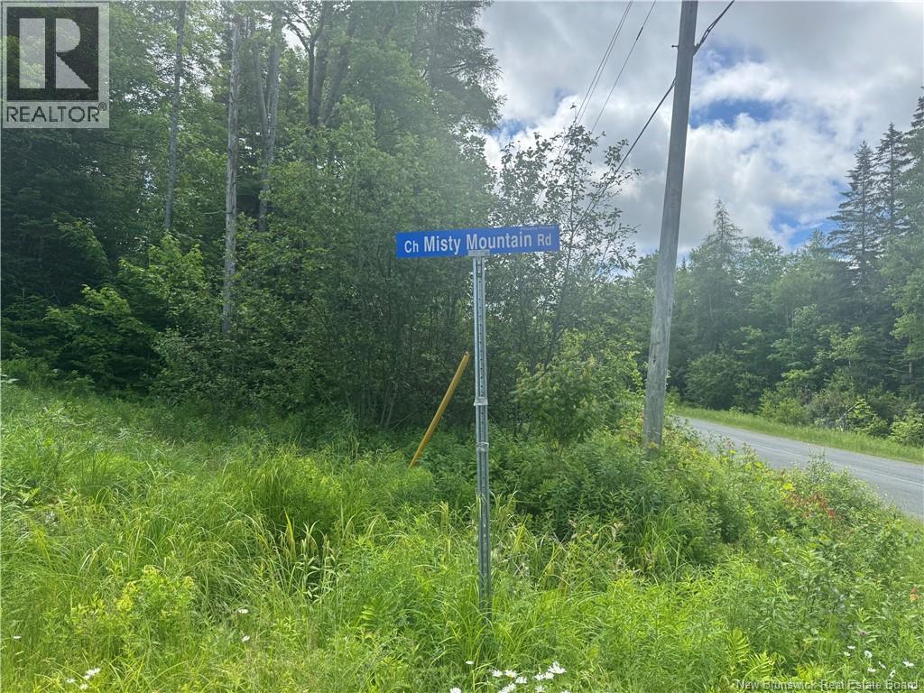 Lot 31 Misty Mountain Road, Elmsville, New Brunswick  E5C 0E5 - Photo 28 - NB142264