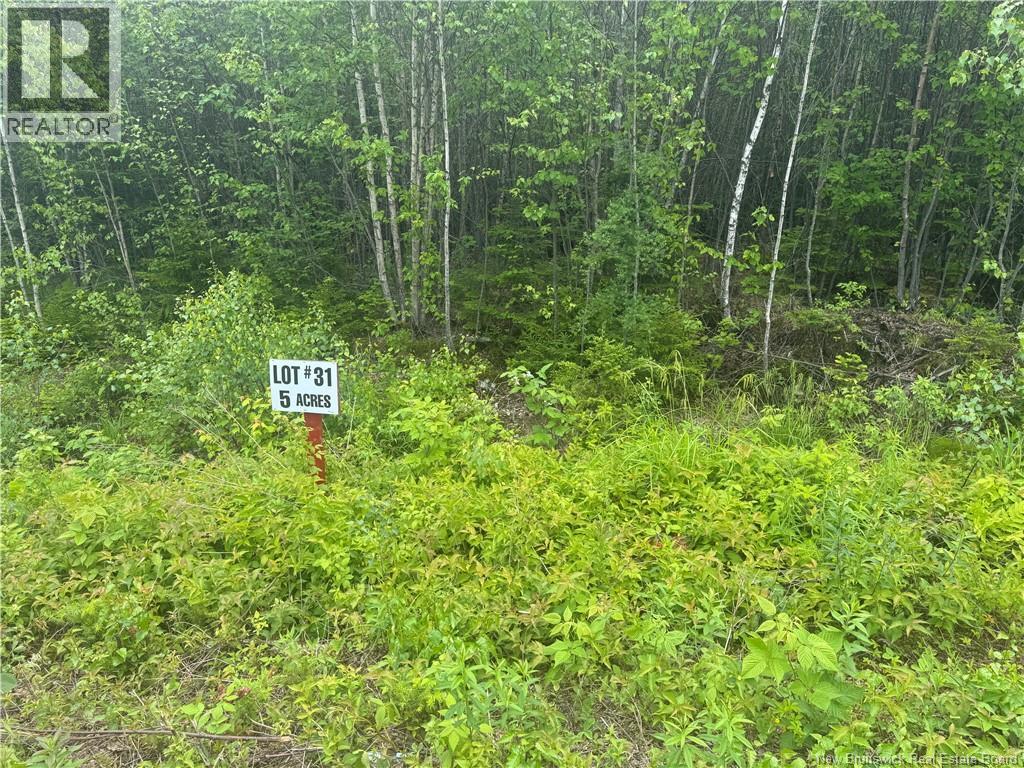 Lot 31 Misty Mountain Road, Elmsville, New Brunswick  E5C 0E5 - Photo 27 - NB142264
