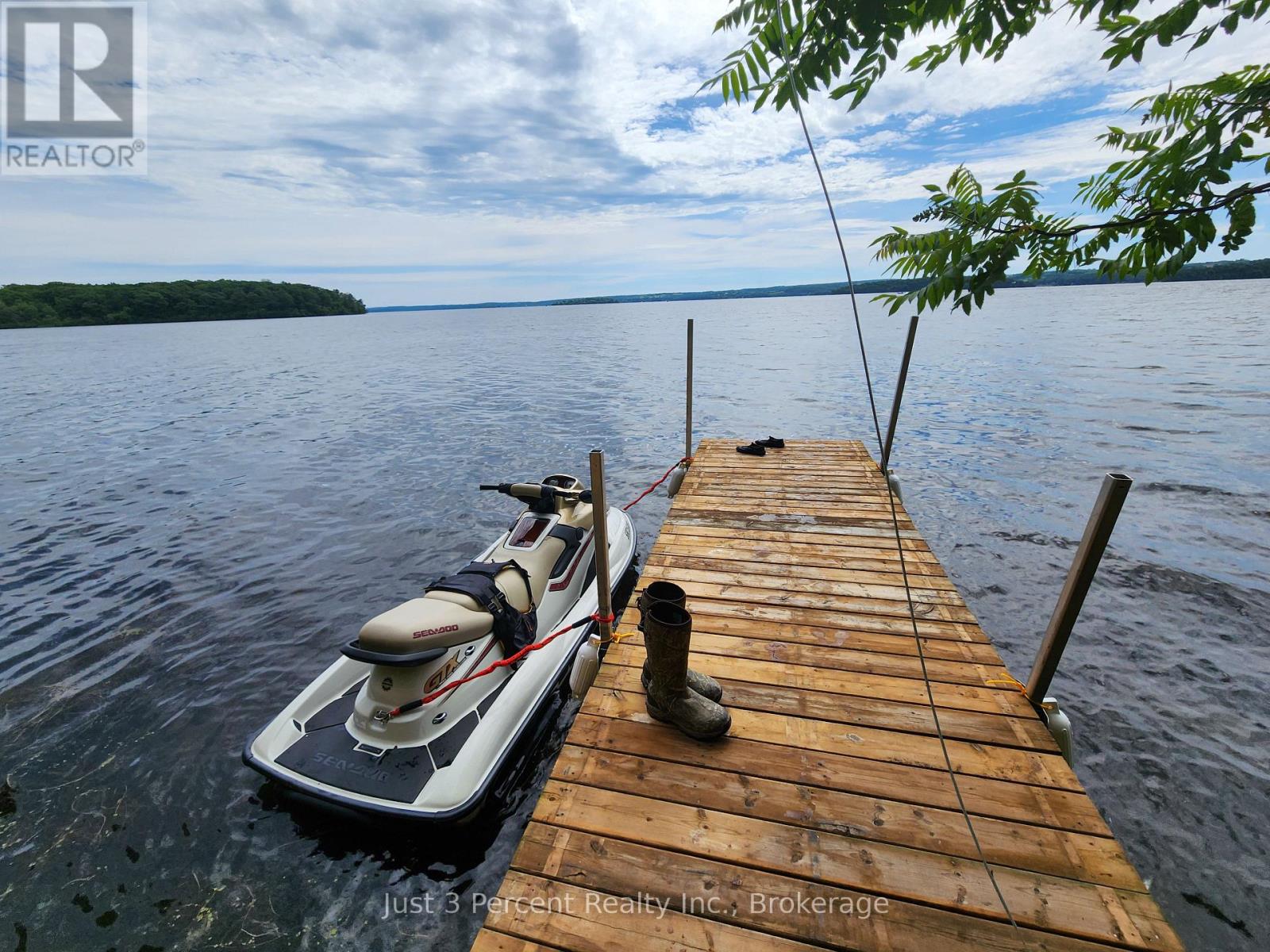 100 Cow Island, Otonabee-South Monaghan, Ontario  K0B 1B0 - Photo 3 - X13475350